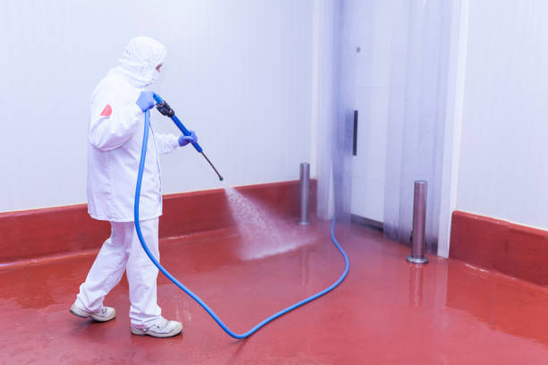 Paint Preparation in Solon, OH